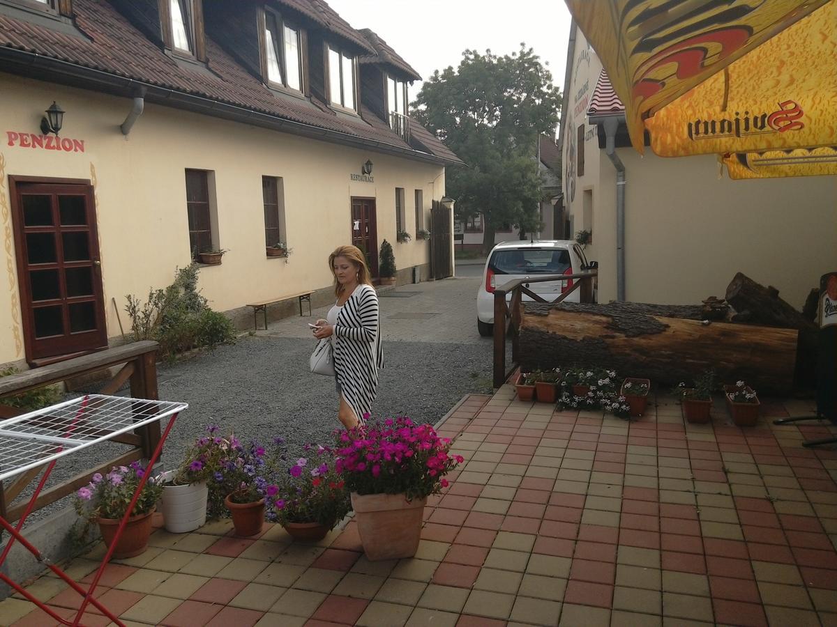 Penzion Na Jizdarne Stary Plzenec Екстер'єр фото